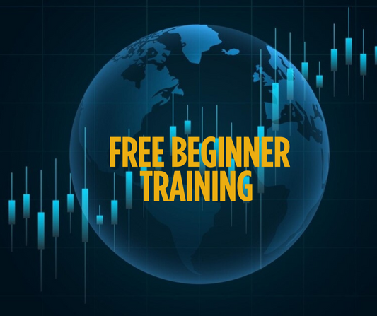 Free Beginner Training